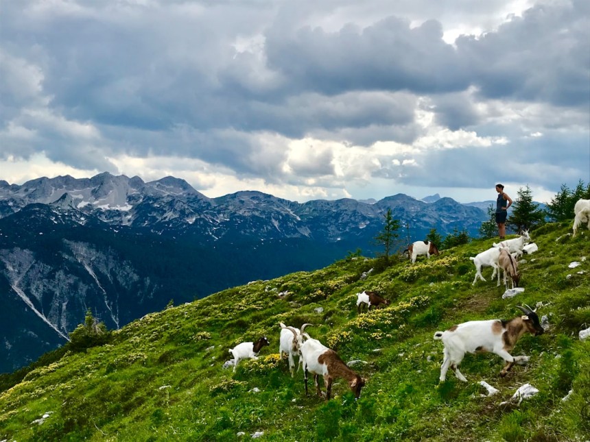 Randonneurs dans les Alpes juliennes en Slovénie