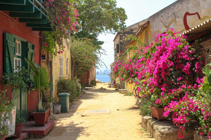 Vue de l'île de Gorée avec ses maisons colorées et le port